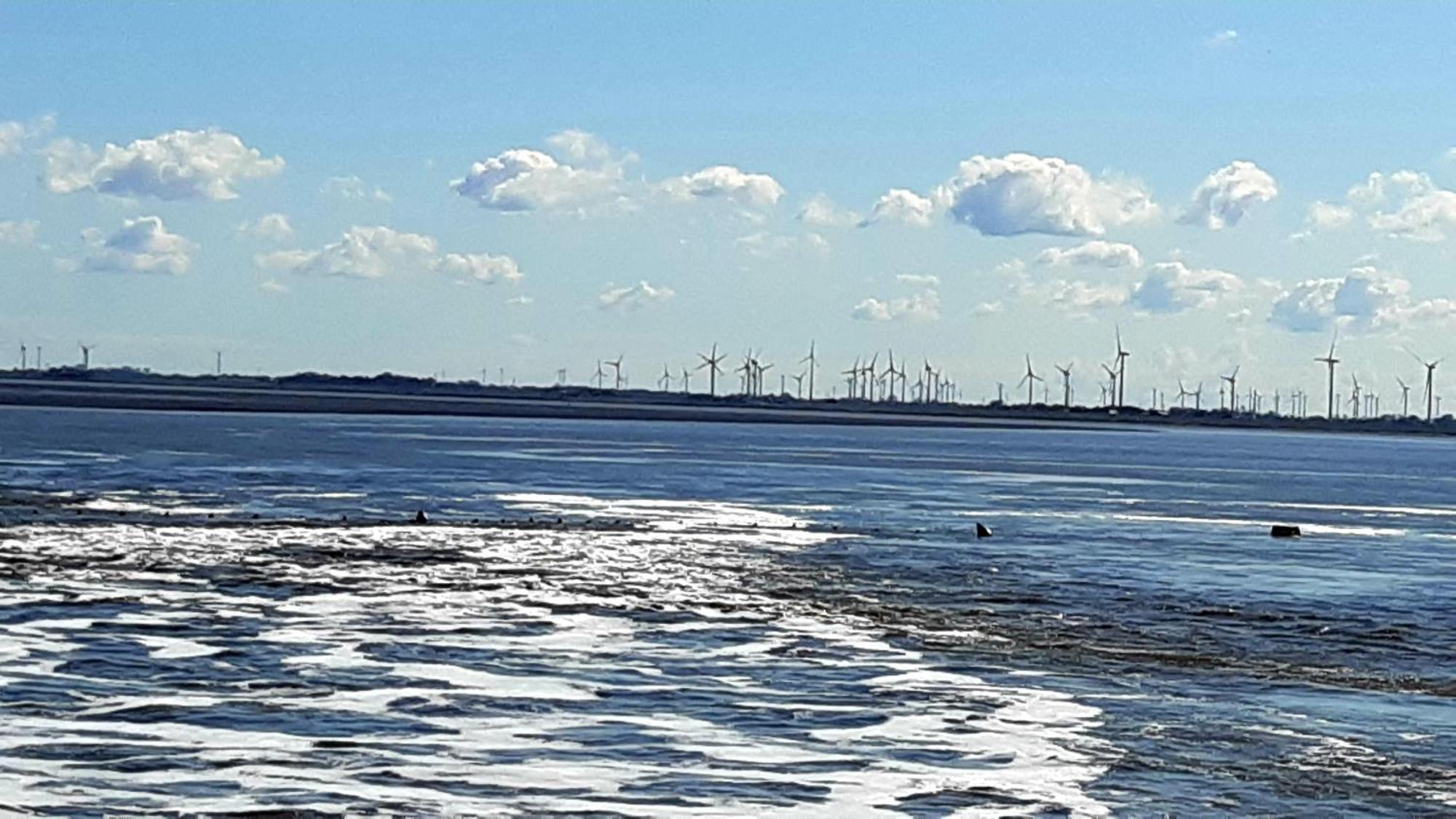 Ferienwohnungen-Im-Koog Wesselburenerkoog Exteriér fotografie